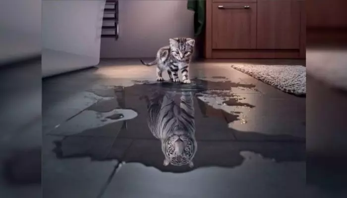 Narsistle İlişki Döngüsü